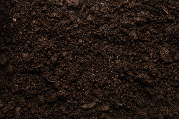 istock Black land for plant background. 1289078397