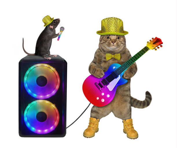 istock Cat guitar player at loudspeaker 1289079570
