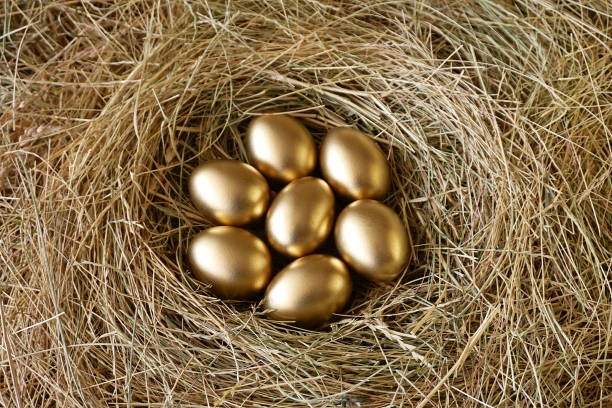 golden eggs in nest - breakfast close up studio shot group of objects imagens e fotografias de stock