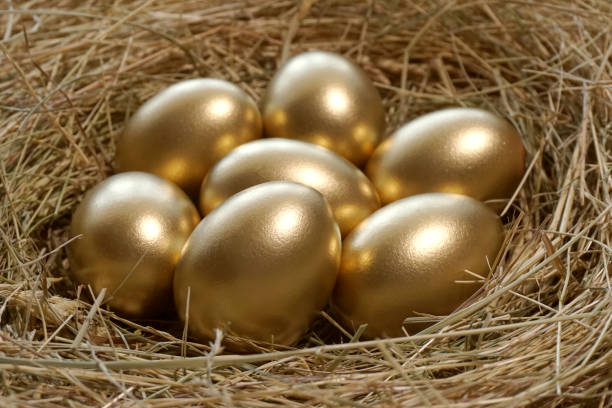 złote jaja w gnieździe - animal egg golden animal nest nest egg zdjęcia i obrazy z banku zdjęć