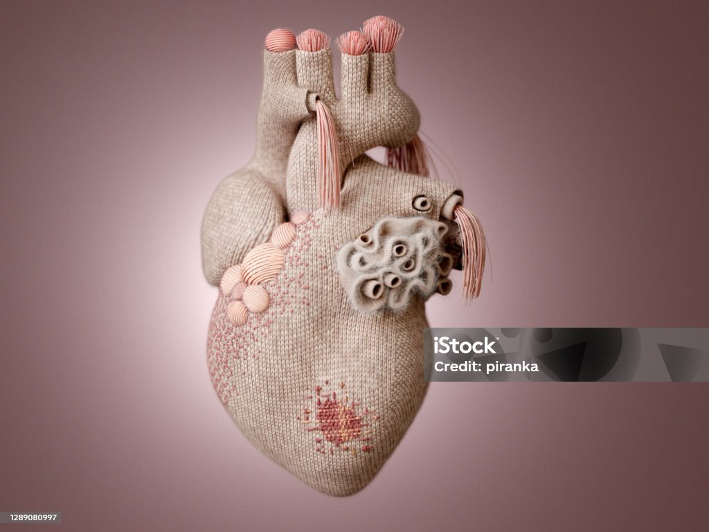 Knit heart A knit heart with knitting decoration and visible mending Heart - Internal Organ Stock Photo