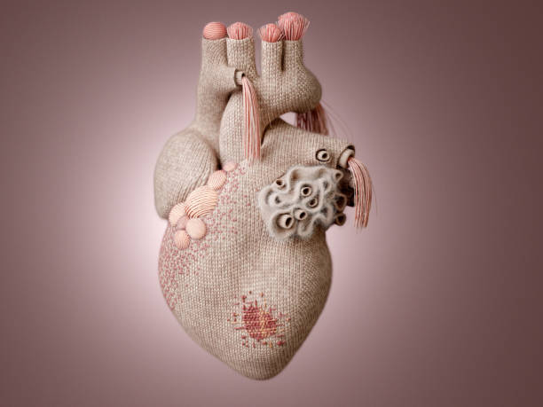 Knit heart A knit heart with knitting decoration and visible mending human heart photos stock pictures, royalty-free photos & images