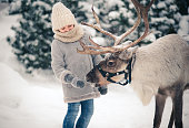 A little girl feeds a horned reindeer in the winter forest. Christmas snow tale