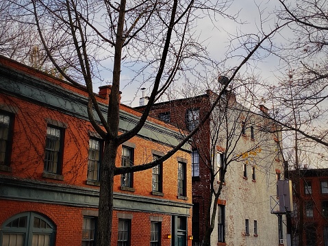 Federal Style Row Houses