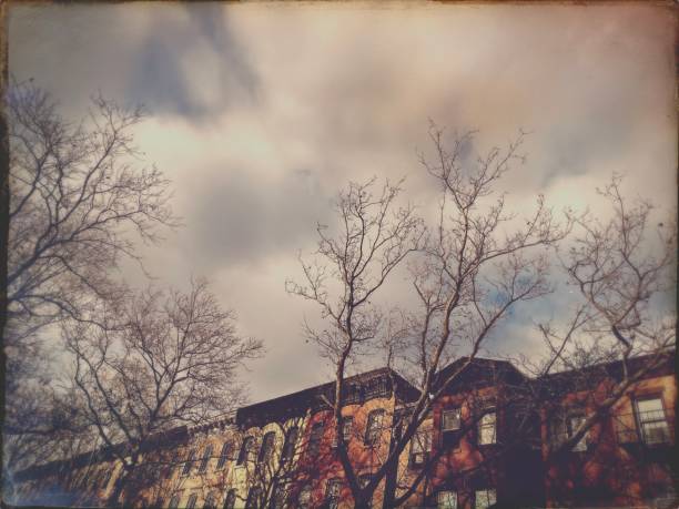 istock Federal Style Row Houses 1289086697