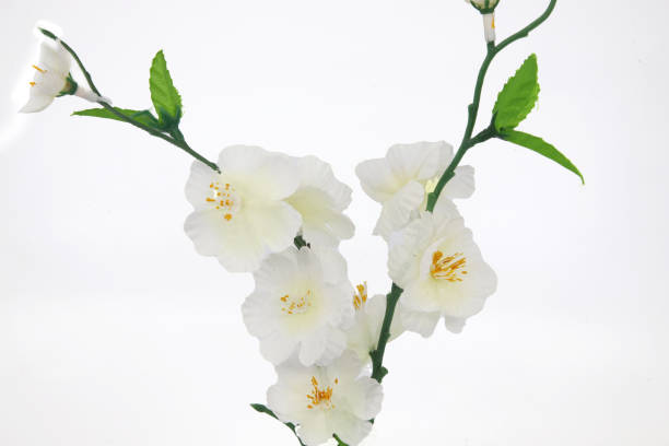 istock Vase and white cloth flower 1289087767