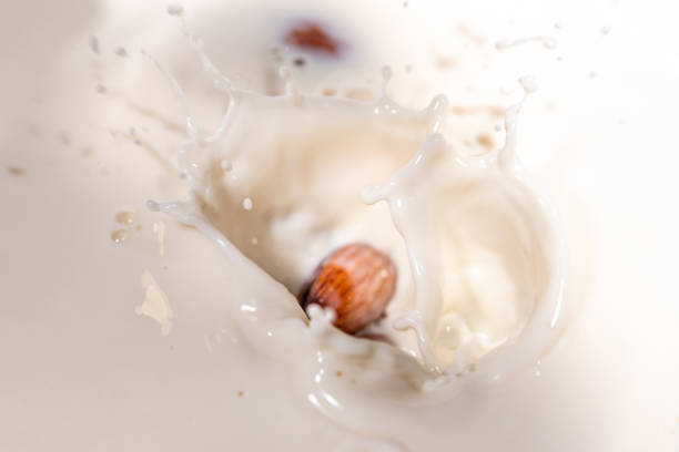 leite de amêndoa - healthy eating macro close up nut - fotografias e filmes do acervo