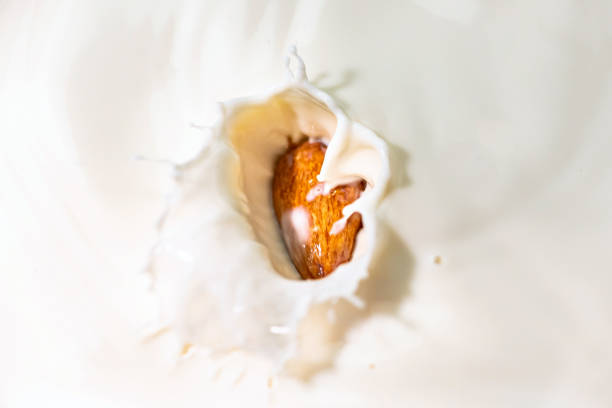 almond milk - healthy eating macro close up nut imagens e fotografias de stock