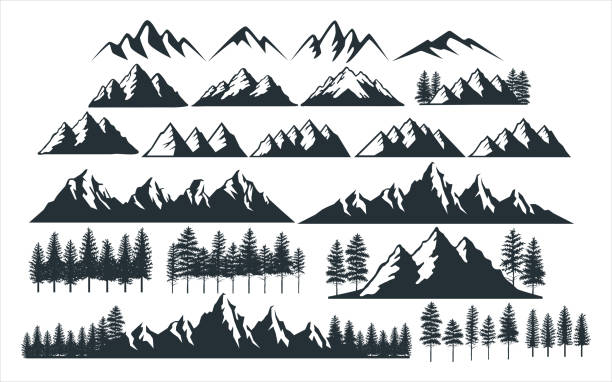 ilustrações de stock, clip art, desenhos animados e ícones de assorted mountain pine tree vector graphic design template set for sticker, decoration, cutting and print file - mountain range