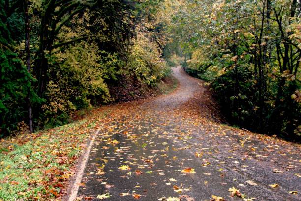 istock Winding Country Road In The Fall 1289096508