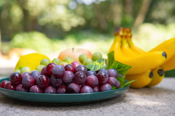 istock side view artificial fruits in the outdoor horizontal composition 1289101618