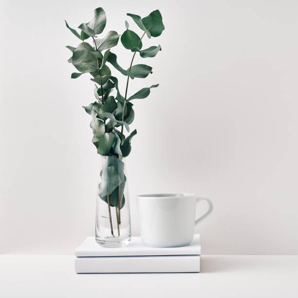 istock A mug on a stack of books and a transparent vase with eucalyptus branches. Eco-friendly materials in interior decor, minimalism. Copy space, mock up 1289104651