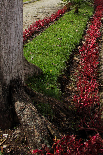 istock On the way to the terroir 1289113151