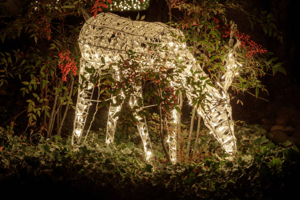 istock Glittering Reindeer Decorating House Yard at Christmas 1289116825