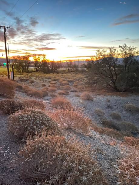 istock Sunrise of the Desert 1289117473