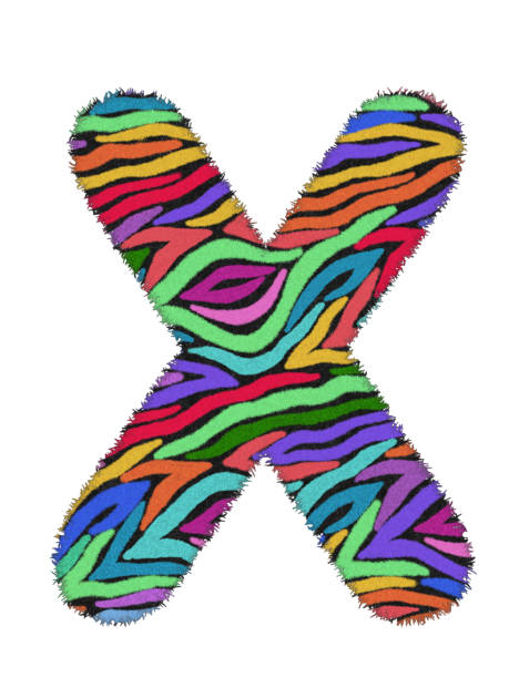istock 3D Zebra RAINBOW print letter X, animal skin fur creative decorative character X, with colorful isolated in white background. has clipping path and dicut. Design font wildlife or safari concept. 1289118679