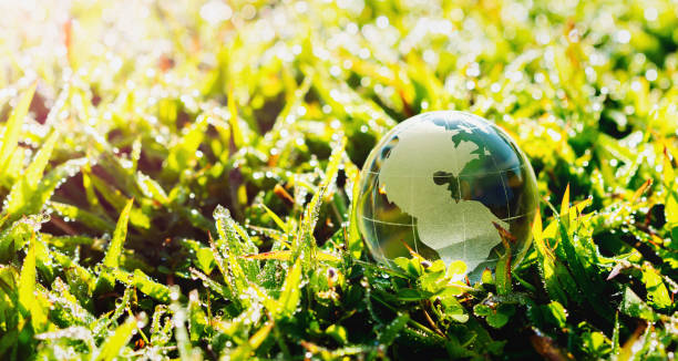 istock globe glass on grass with sunshine. environment concept 1289121399