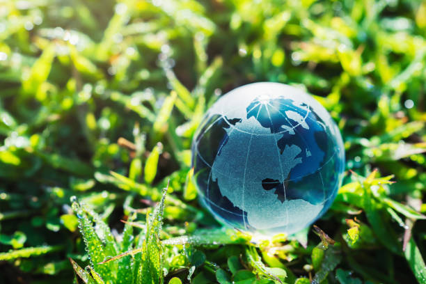 istock globe glass on grass with sunshine. environment concept 1289121401