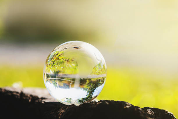 istock globe glass on wood with sunshine. environment concept 1289121405