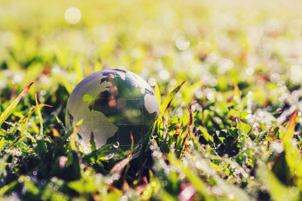 istock globe glass on green grass with sunshine. eco environment concept 1289121418