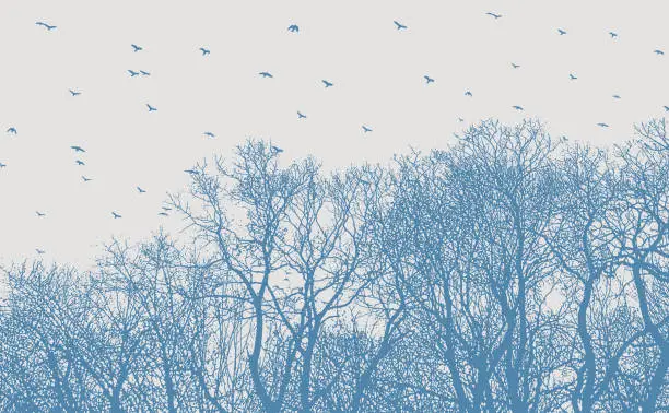 Vector illustration of Woodland and flock of birds