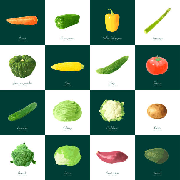 白と濃い緑の背景から野菜 - asparagus vegetable white background freshness点のイラスト素材／クリップアート素材／マンガ素材／アイコン素材