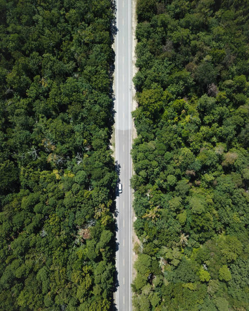 istock Aerial Bridges Roads and Cities 1289124787
