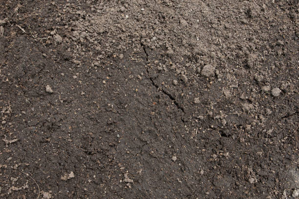 istock Close-up of soil texture background 1289126574