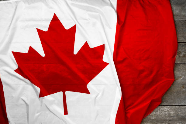 istock Flag of Canada on wooden background, copy space 1289128546