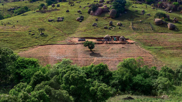 countryside landscape, agriculture in africa - swaziland imagens e fotografias de stock