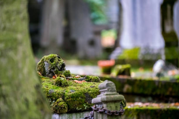 Moss covers the masonic symbol on a tombstone.