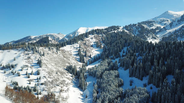 istock Snow forest in the mountains, above the clouds 1289135002