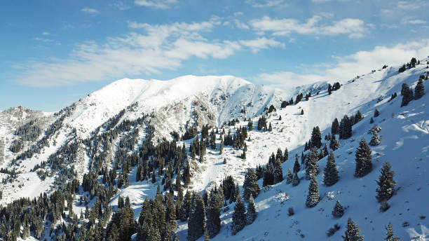 istock Snow forest in the mountains, above the clouds 1289135040