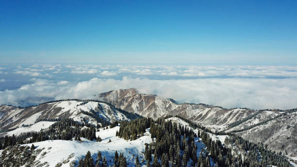 istock Snow forest in the mountains, above the clouds 1289135064