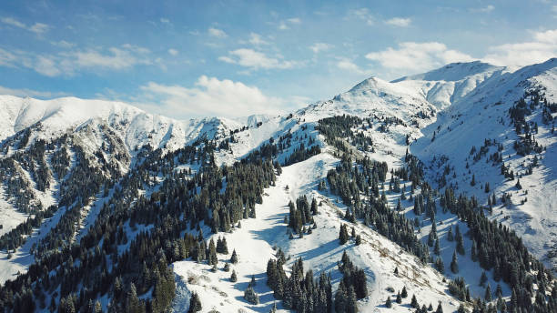istock Snow forest in the mountains, above the clouds 1289135945