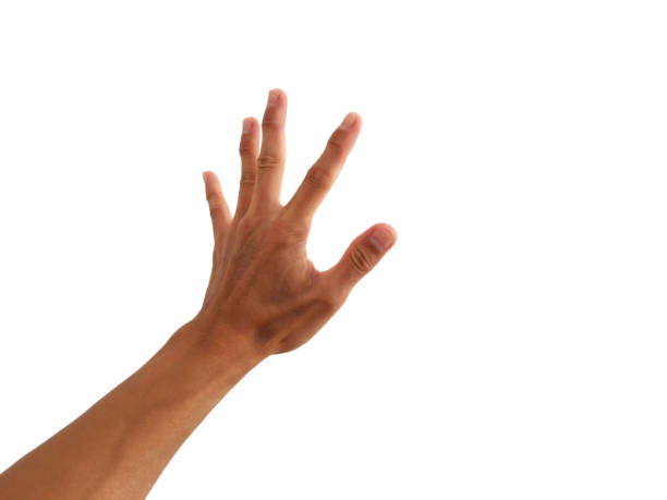 istock show hand with grab gesture on white background 1289143722