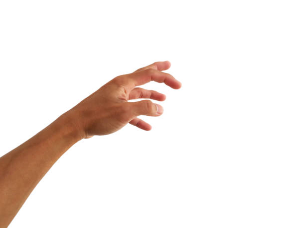istock show hand with grab gesture on white background 1289143724