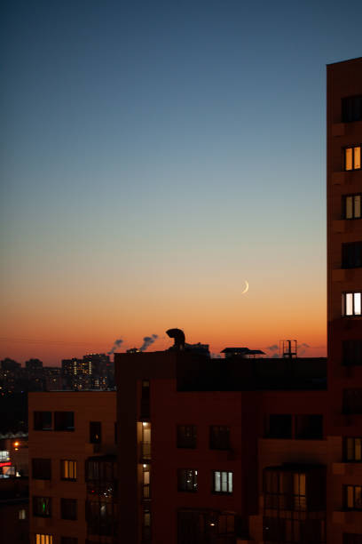 istock night sky over the city with the moon 1289150205