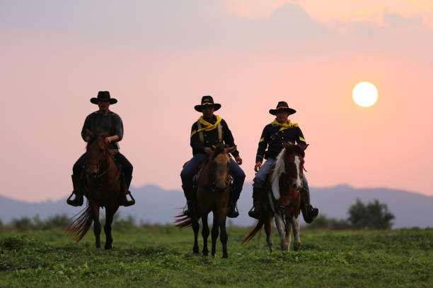istock View Of Horses On Land During Sunset 1289151492
