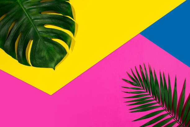 istock Creative banner with tropical leaves on geometric vibrant colours background. Flyer for ad, design. 1289151788