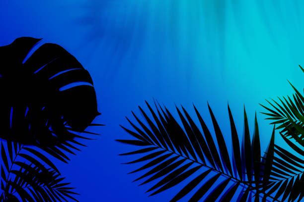 istock Exotic tropical palm leaves isolated on purple blue gradient background. Flyer for ad, design. 1289151844