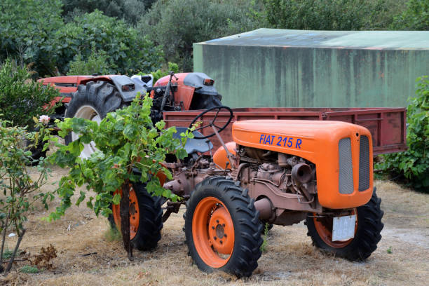 vintage fiat 215 r tractor - agricultural machinery retro revival summer farm imagens e fotografias de stock