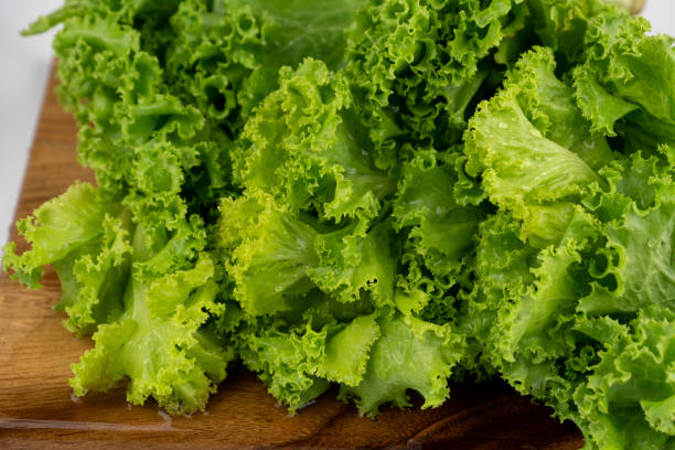 istock Green lettuce leaves lush with water drop on leaf 1289154828