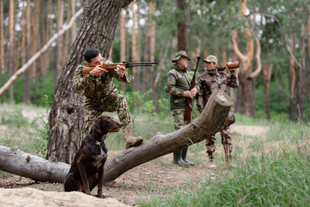 ハンターは犬の集中的なスタンスを目指しています。 - pheasant hunter ストックフォトと画像