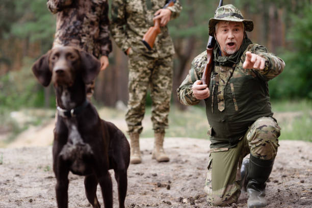 istock Alert Hunting Dog Hunter in Camouflage Pointing. 1289156451