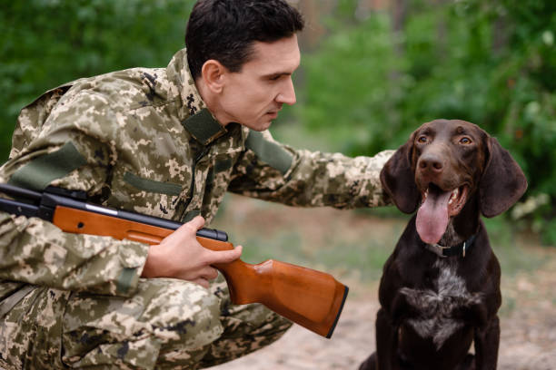 istock Hunter Pets Happy Dog Gun Dog Breed Brown Pointer. 1289156494