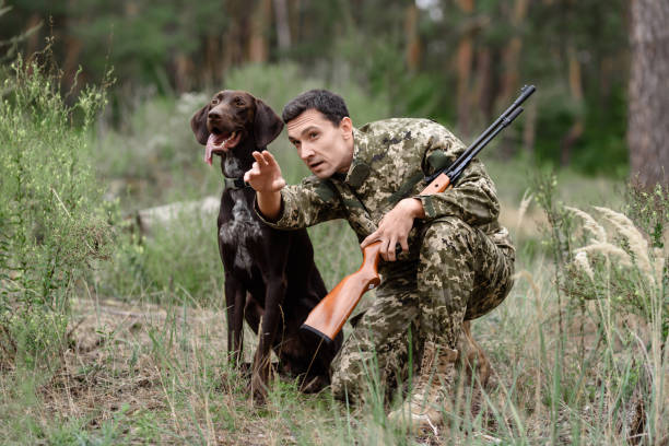 hombre con rifle y puntero caza de perros para el conejo. - rifle shotgun hunting camouflage fotografías e imágenes de stock