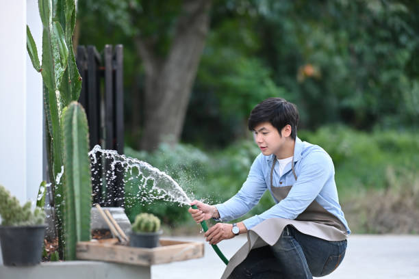 istock A man gardener is watering plant at home. 1289157204