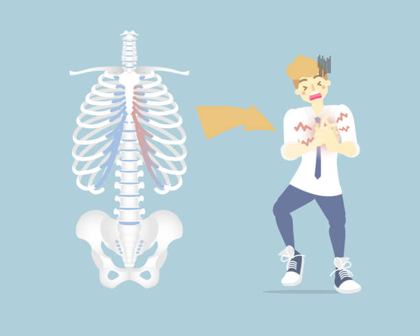 человек, больной грудной клеткой в верхней и средней грудной клетке, хрящ, costochondritis, медицинские внутренние органы нервной системы анатомии - human spine human bone human vertebra rib cage stock illustrations