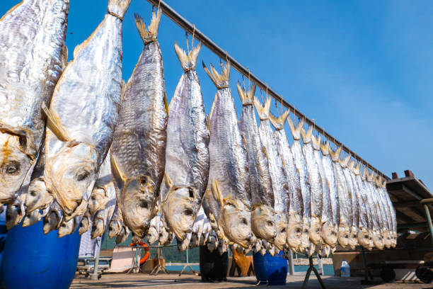 Tai O village chinese salted fish